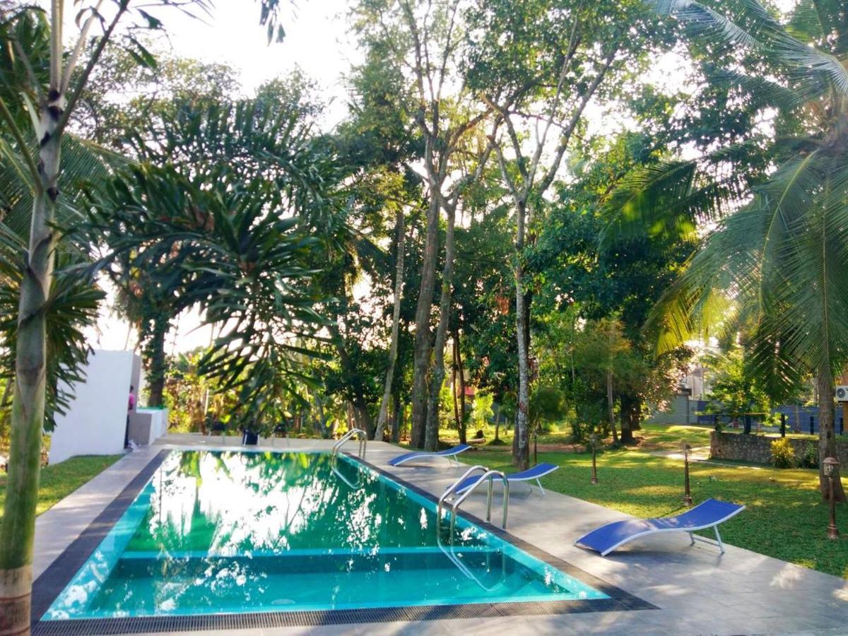 Temple Pond Villa Colombo Piliyandala Εξωτερικό φωτογραφία